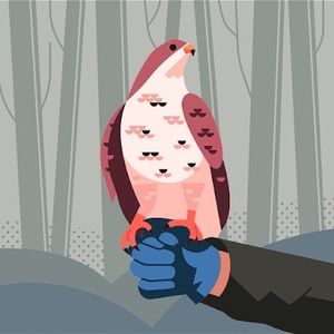 Meet your Posher, Joseph